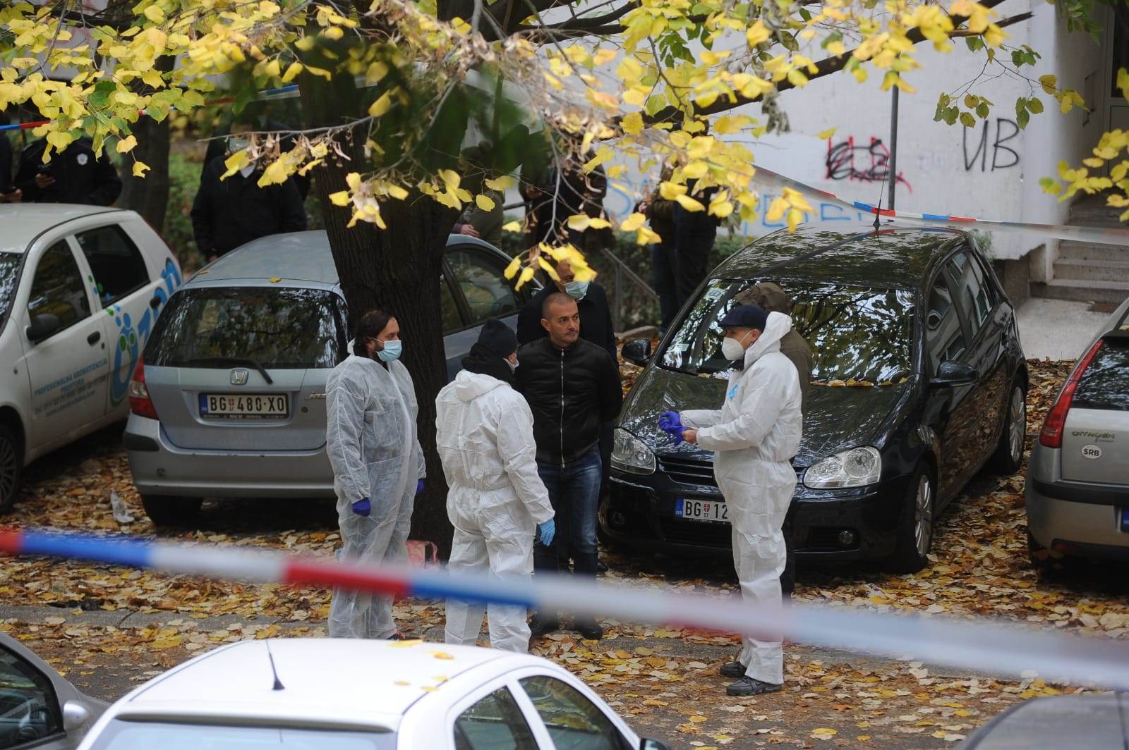 ubistvo vedran repcic majka 