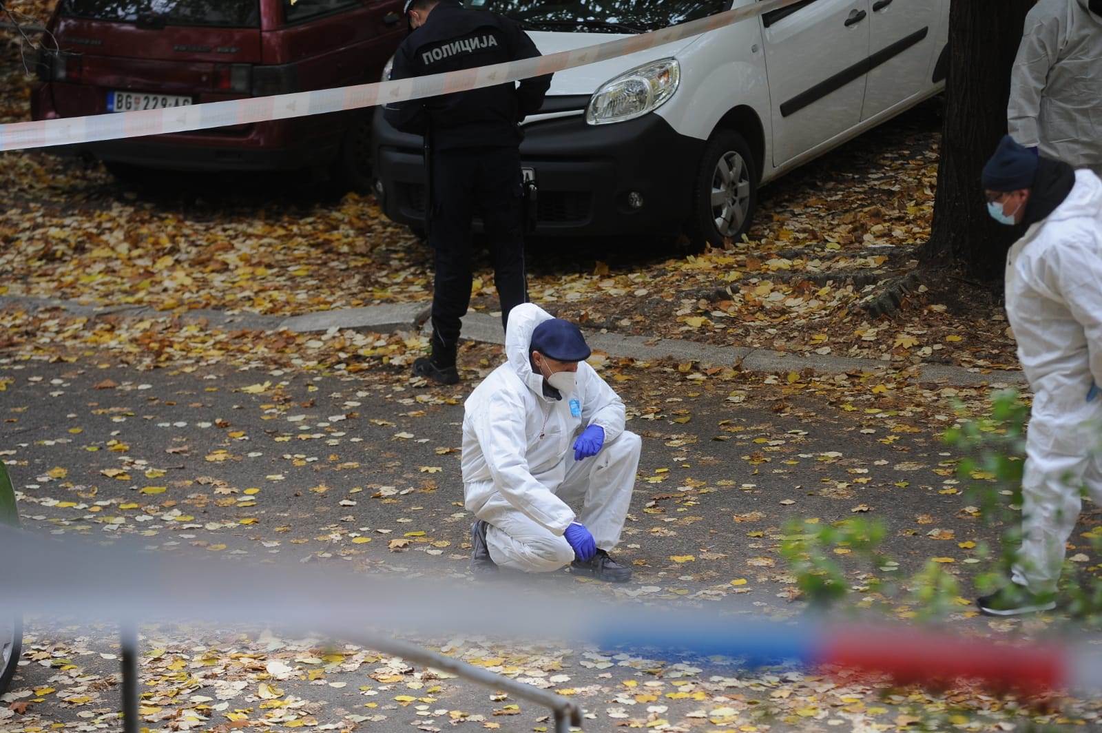 ubistvo vedran repcic majka 