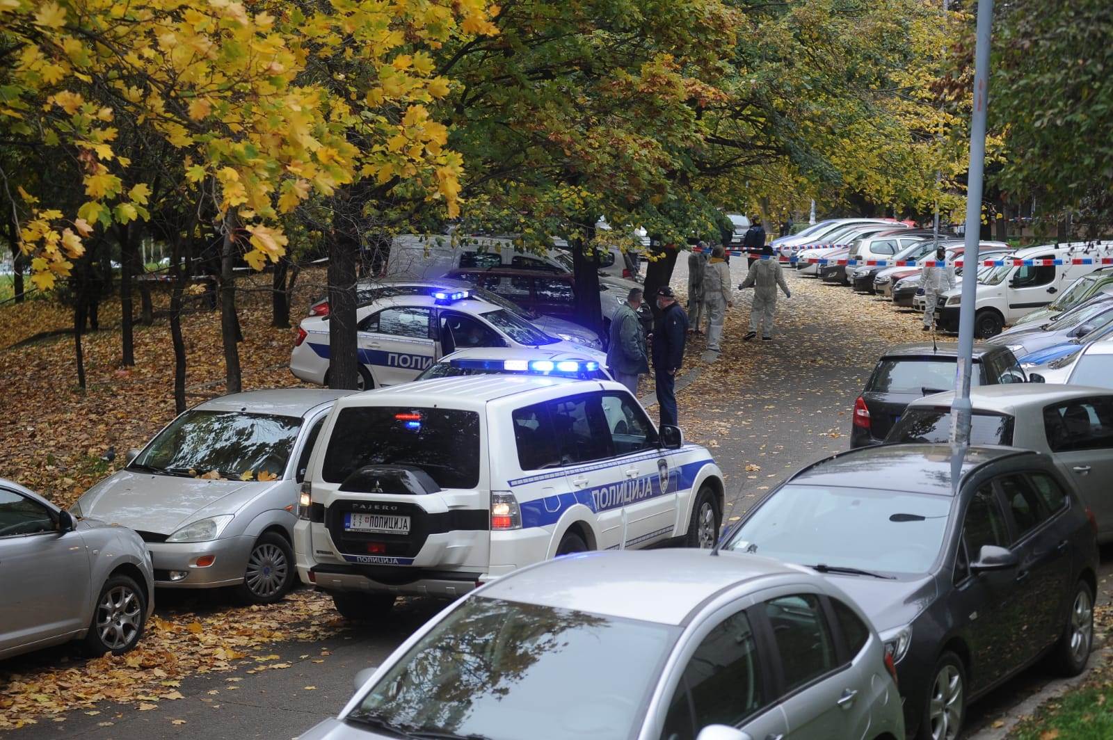 ubistvo vedran repcic majka 