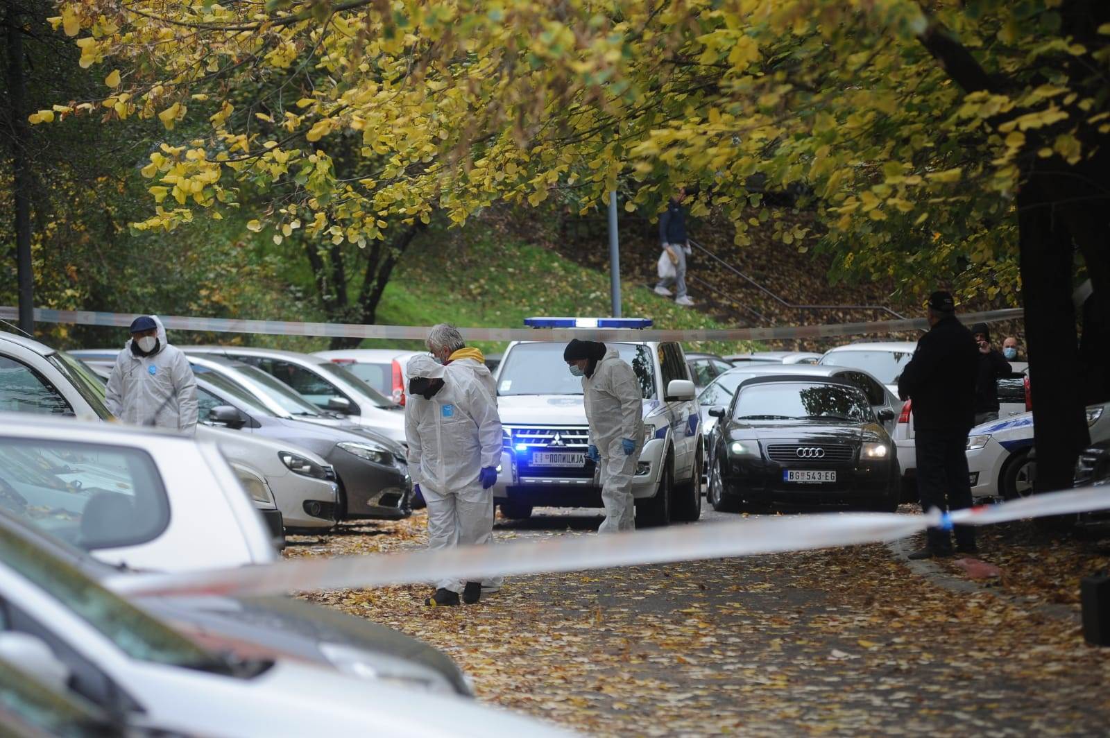 ubistvo vedran repcic majka 