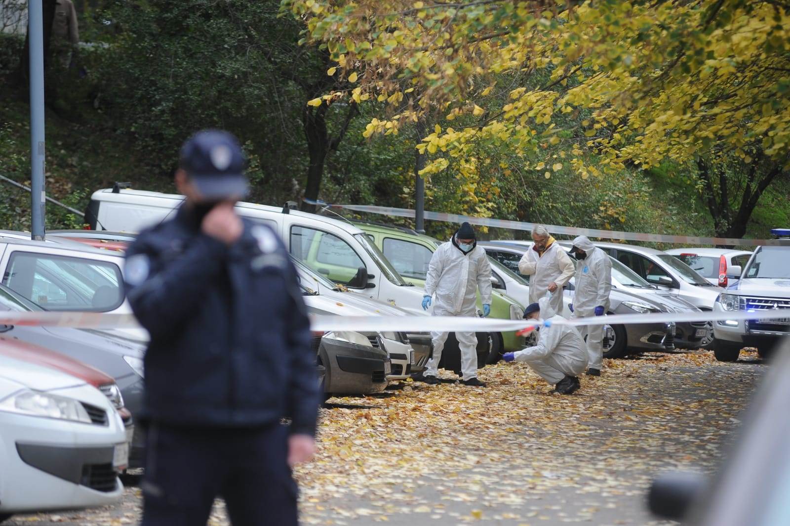 ubistvo vedran repcic majka 