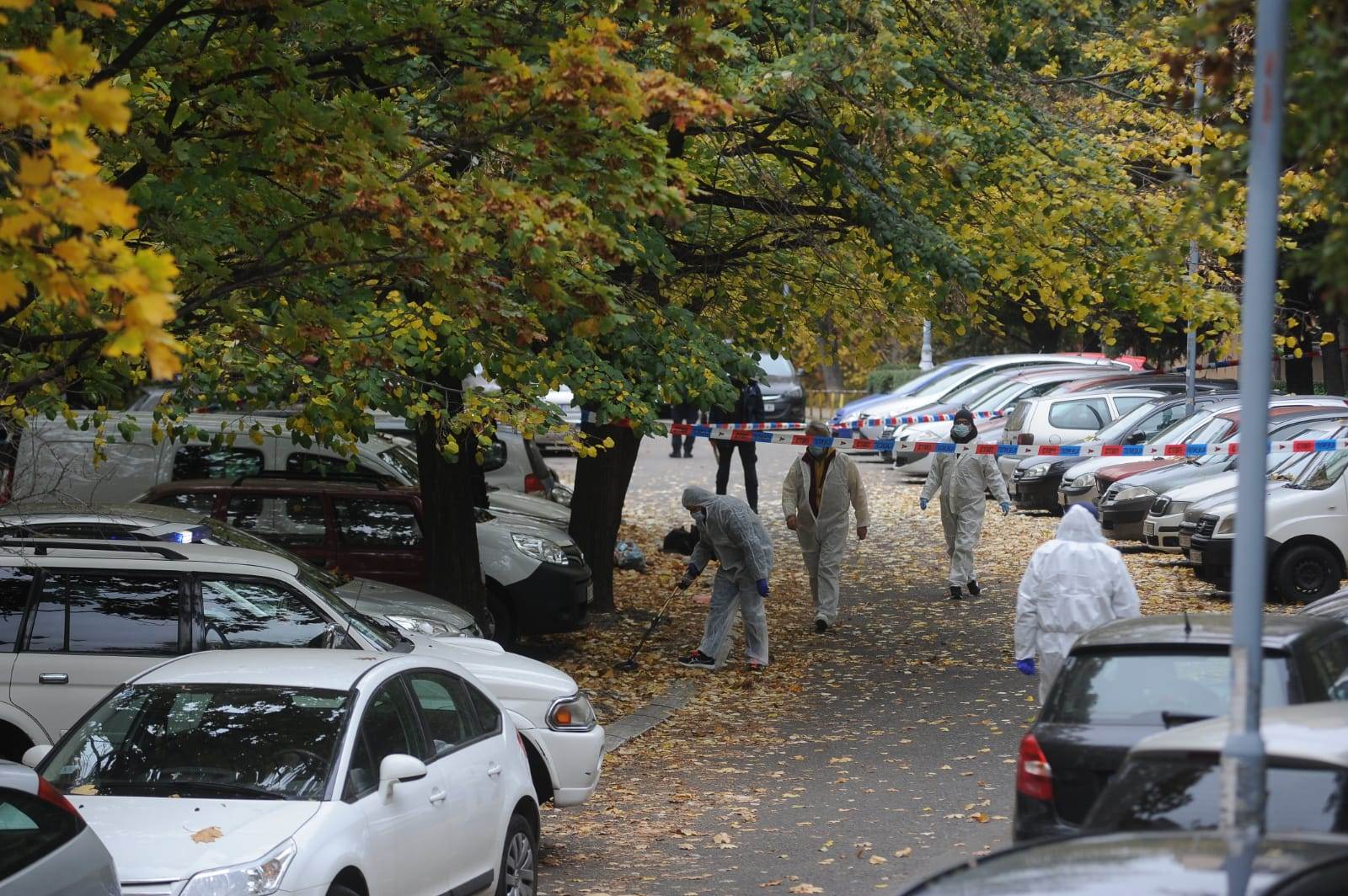 ubistvo vedran repcic majka 