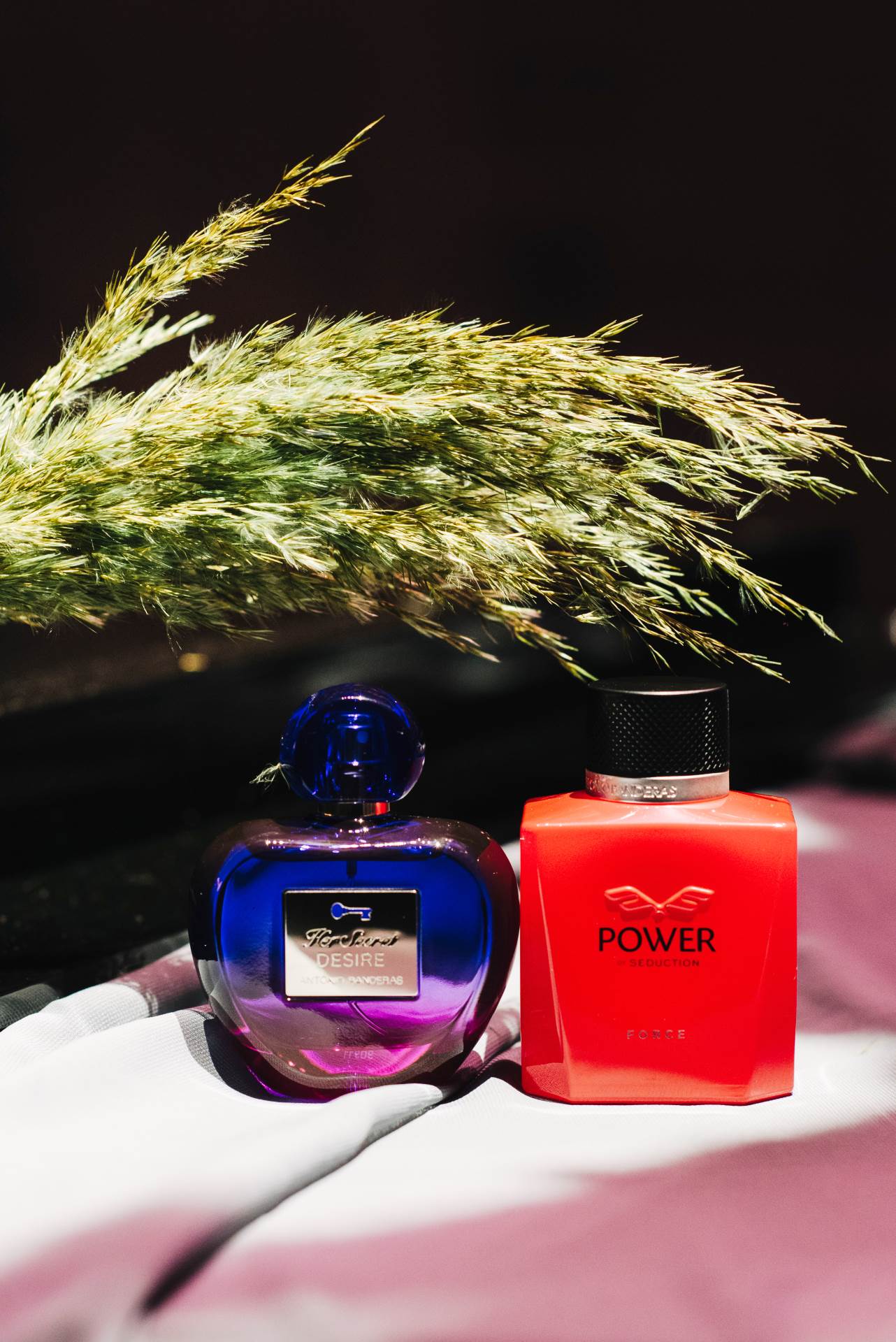 elle style awards fotografije i video