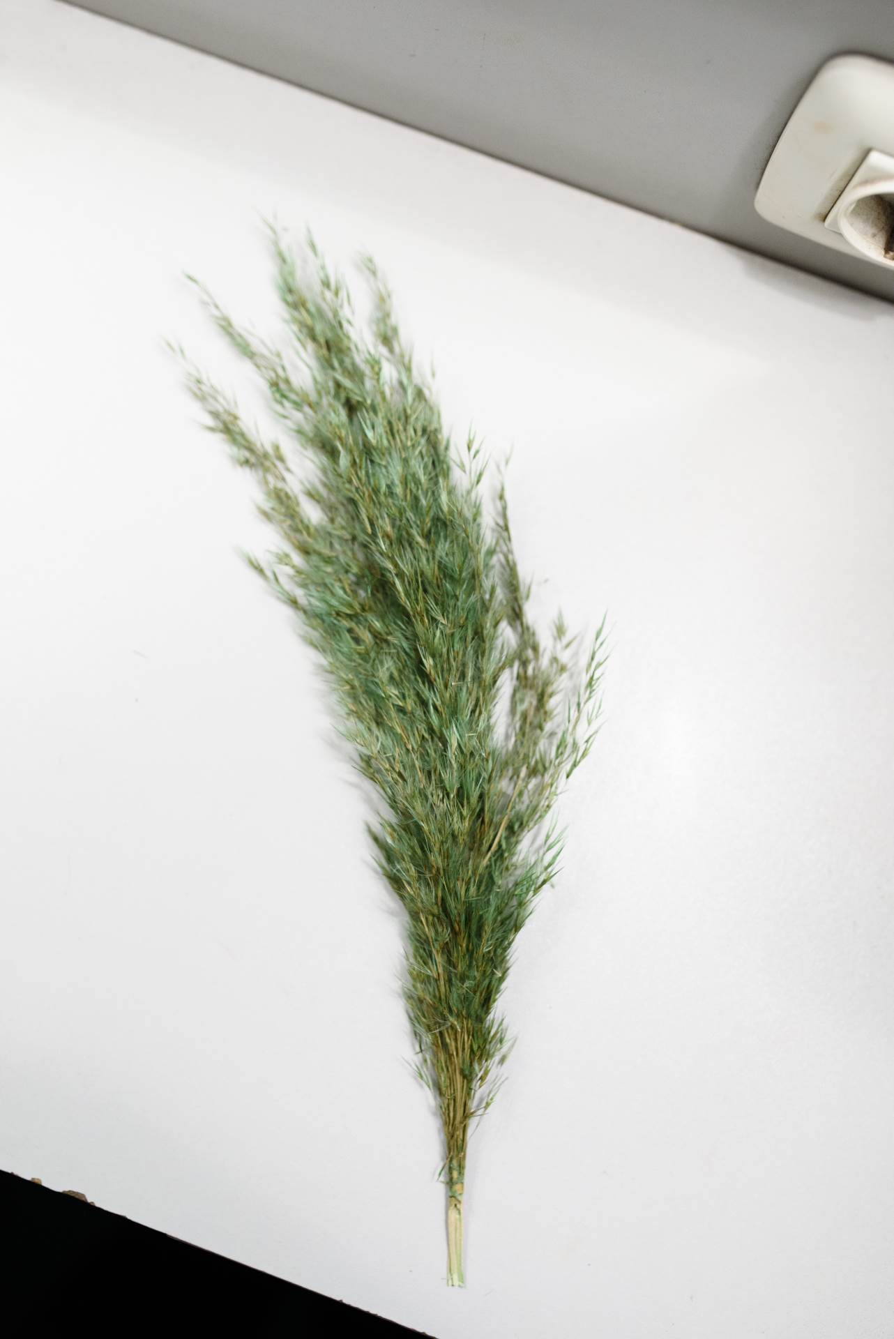 elle style awards fotografije i video