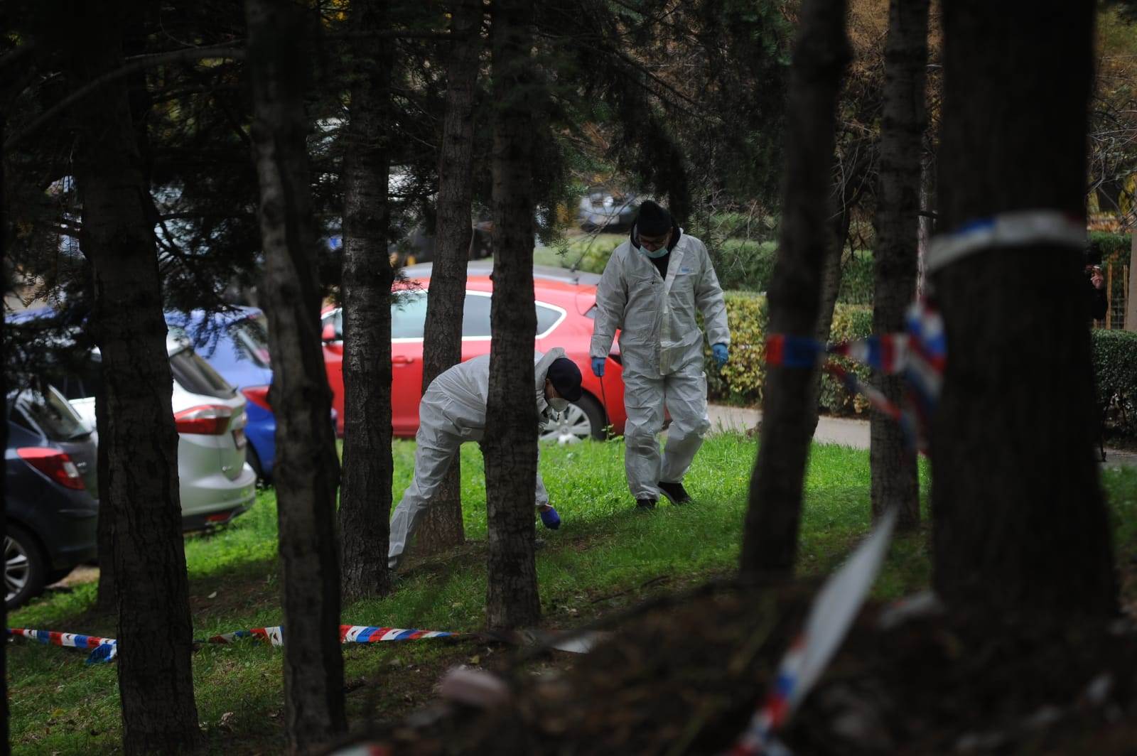 ubistvo vedran repcic majka 