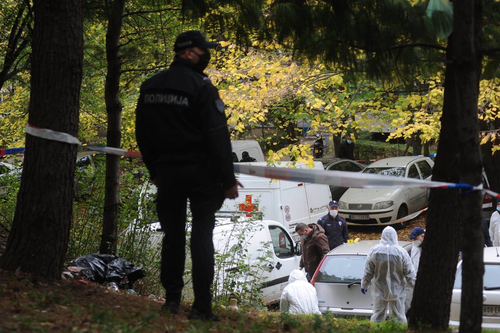 ubistvo vedran repcic majka 