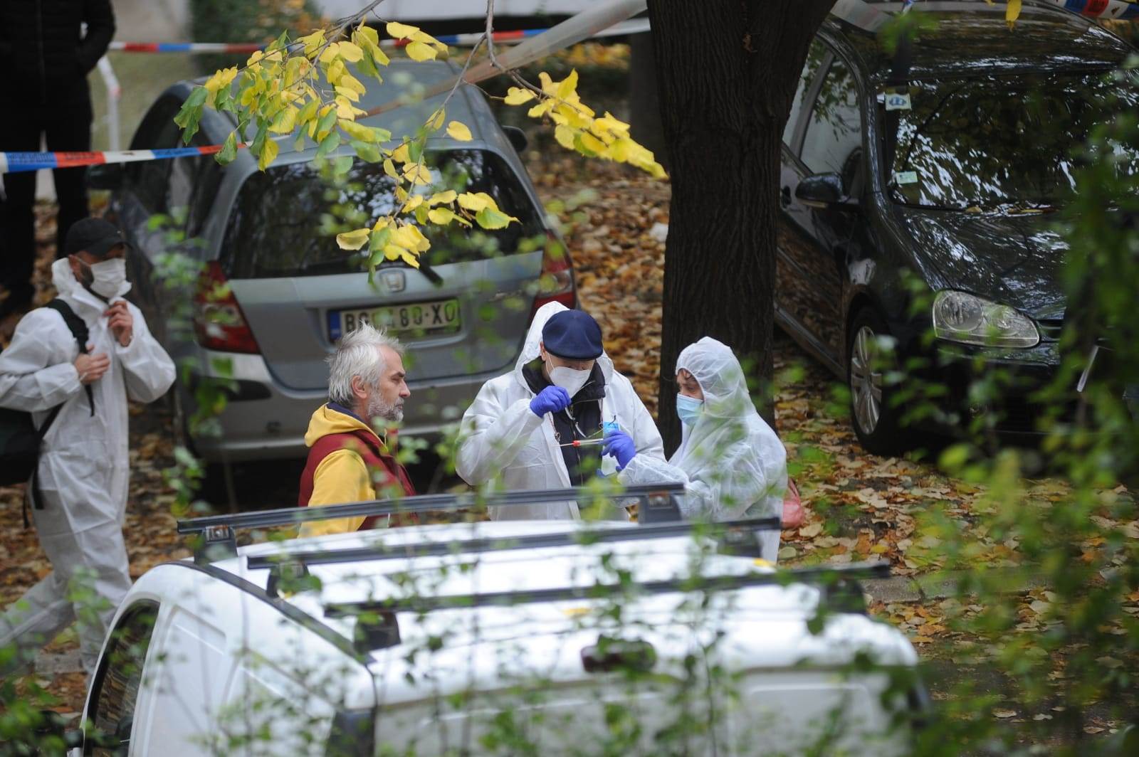 ubistvo vedran repcic majka 