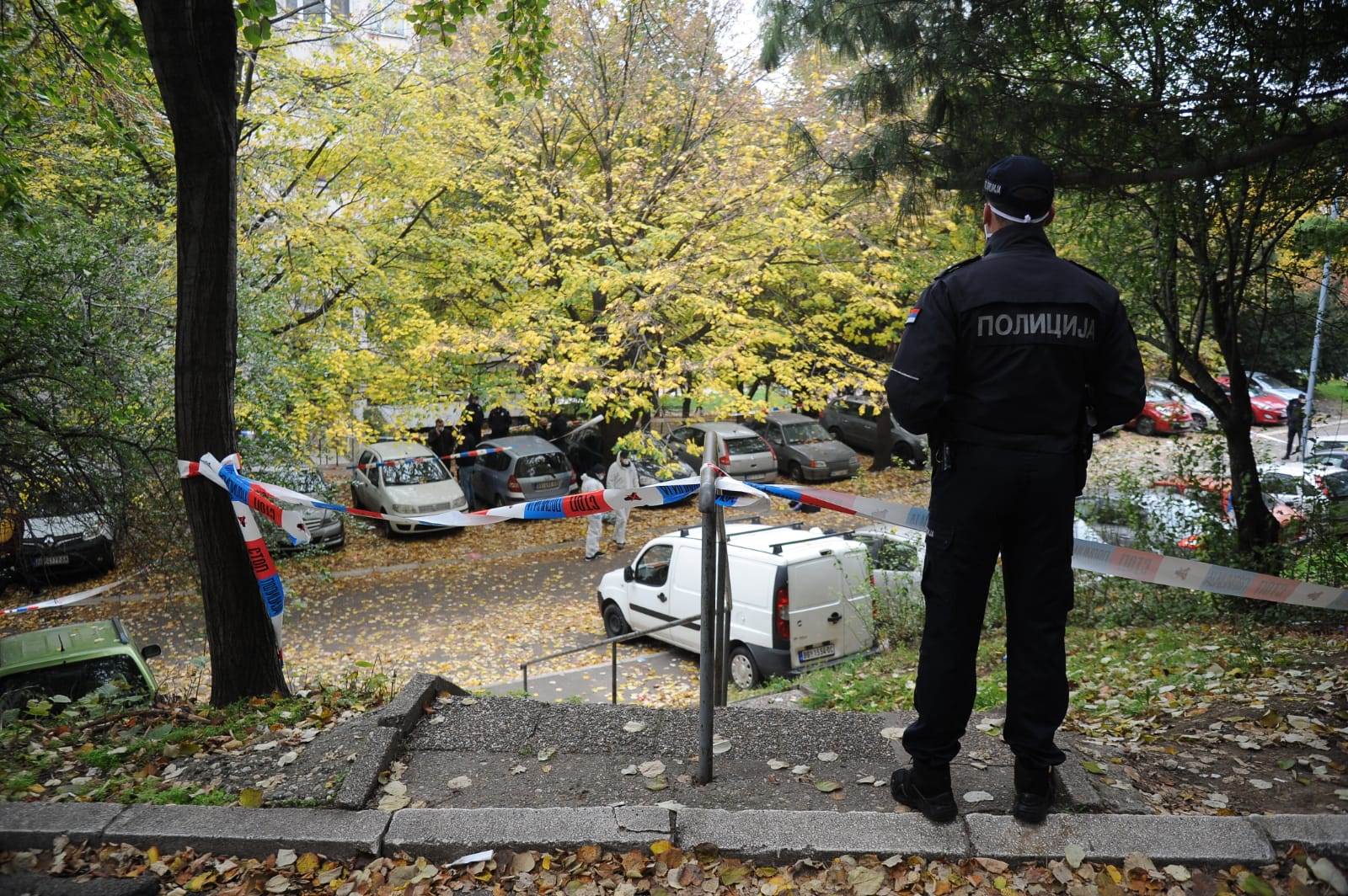 ubistvo vedran repcic majka 