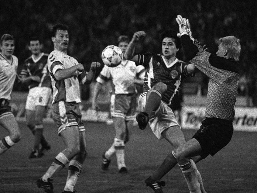 srbija hrvatska maksimir zoran mirkovic euro