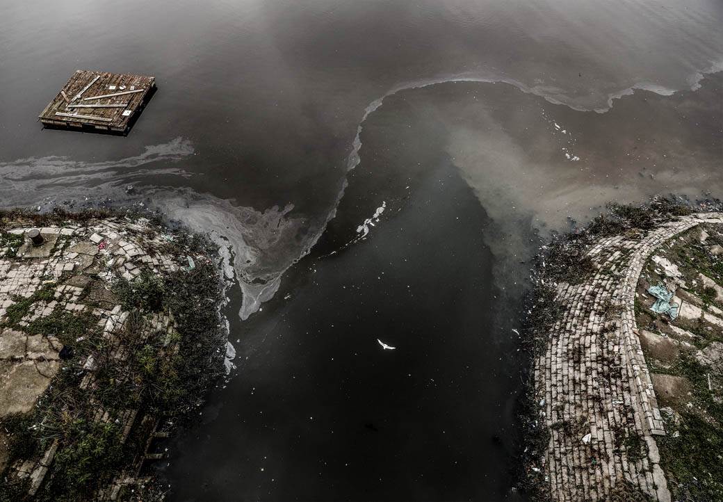 ada ciganlija rukavac smrad ciscenje srbija vode