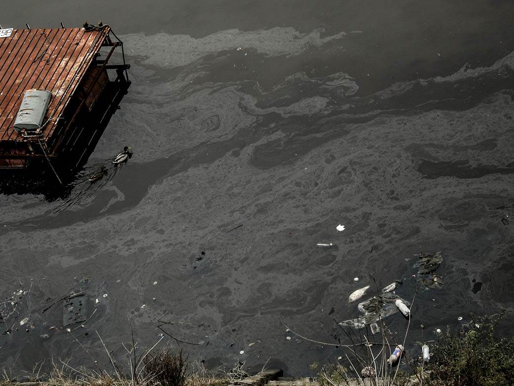 ada ciganlija rukavac smrad ciscenje srbija vode