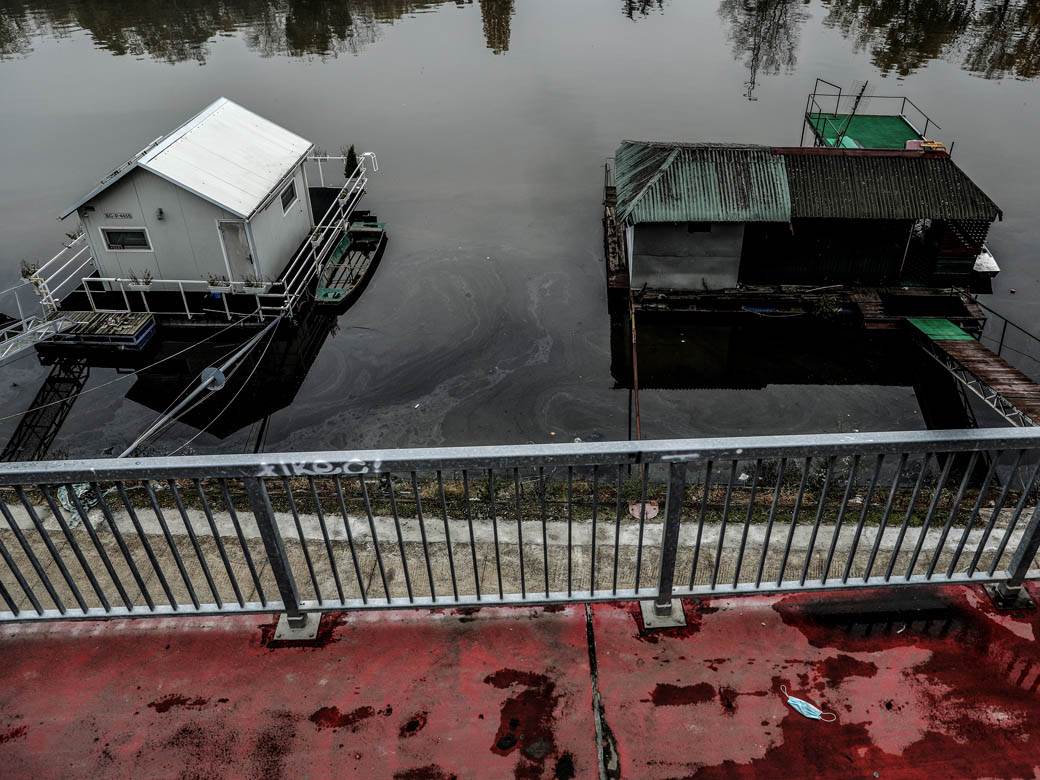 ada ciganlija rukavac smrad ciscenje srbija vode