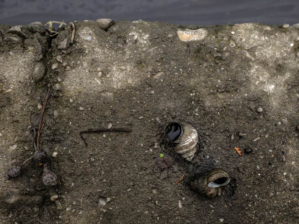 ada ciganlija rukavac smrad ciscenje srbija vode