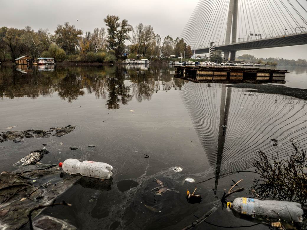 ada ciganlija rukavac smrad ciscenje srbija vode