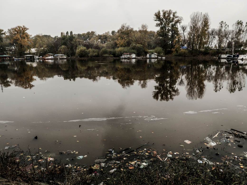 ada ciganlija rukavac smrad ciscenje srbija vode