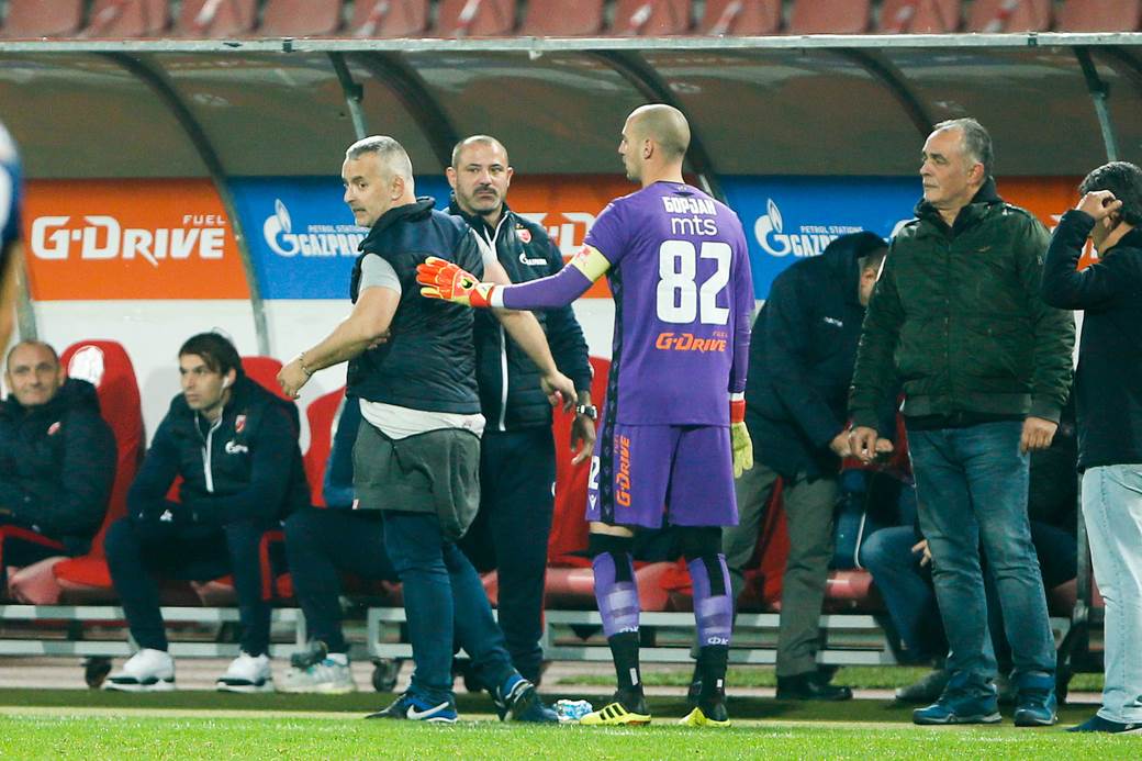 vladimir savija milan borjan dejan stankovic incident video izjava