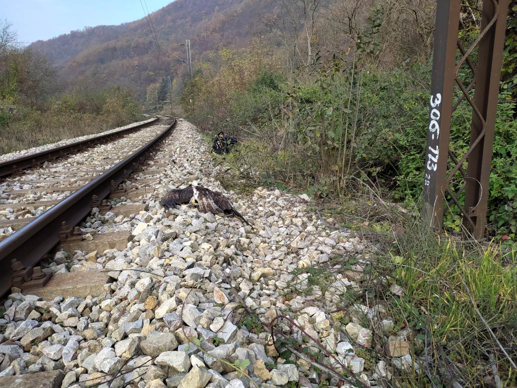 orao ribar smrt struja grdelicka klisura dalekovod dzpps