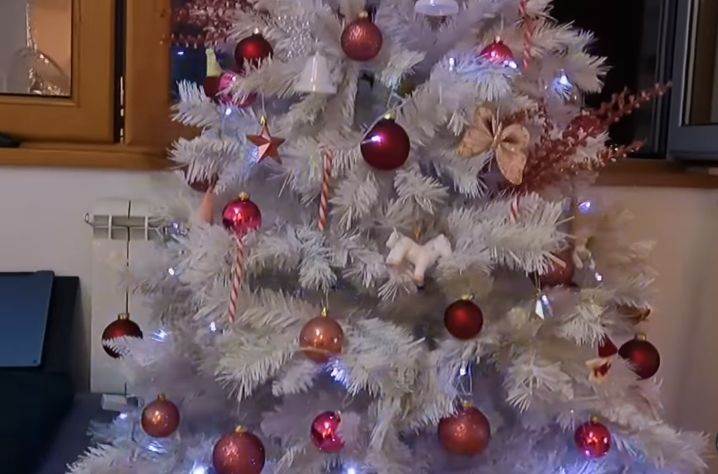 luna djogani sloba radanovic prevara odnos 