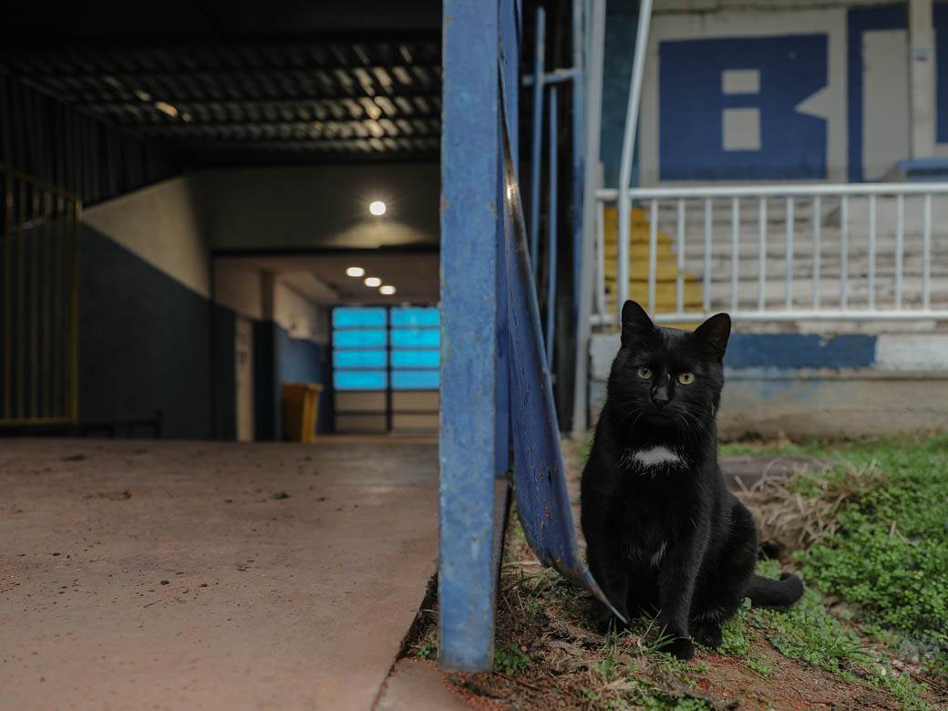 Crvena zvezda pomaže OFK Beograd