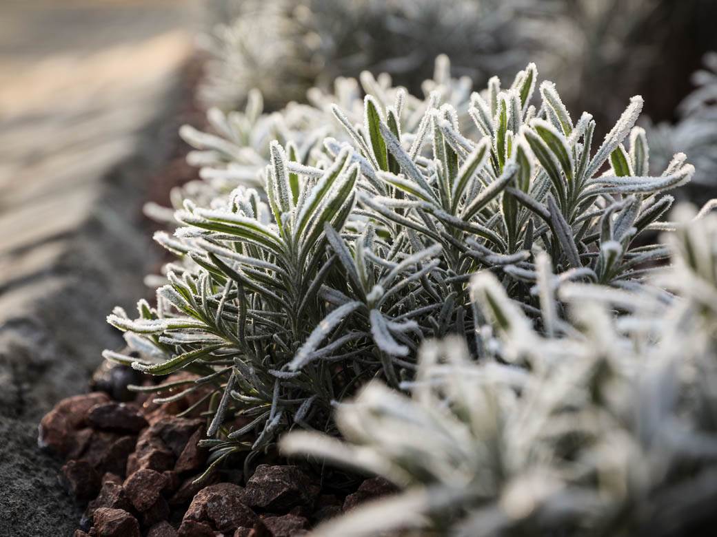 zima mraz beograd hladno vremenska prognoza fotografije