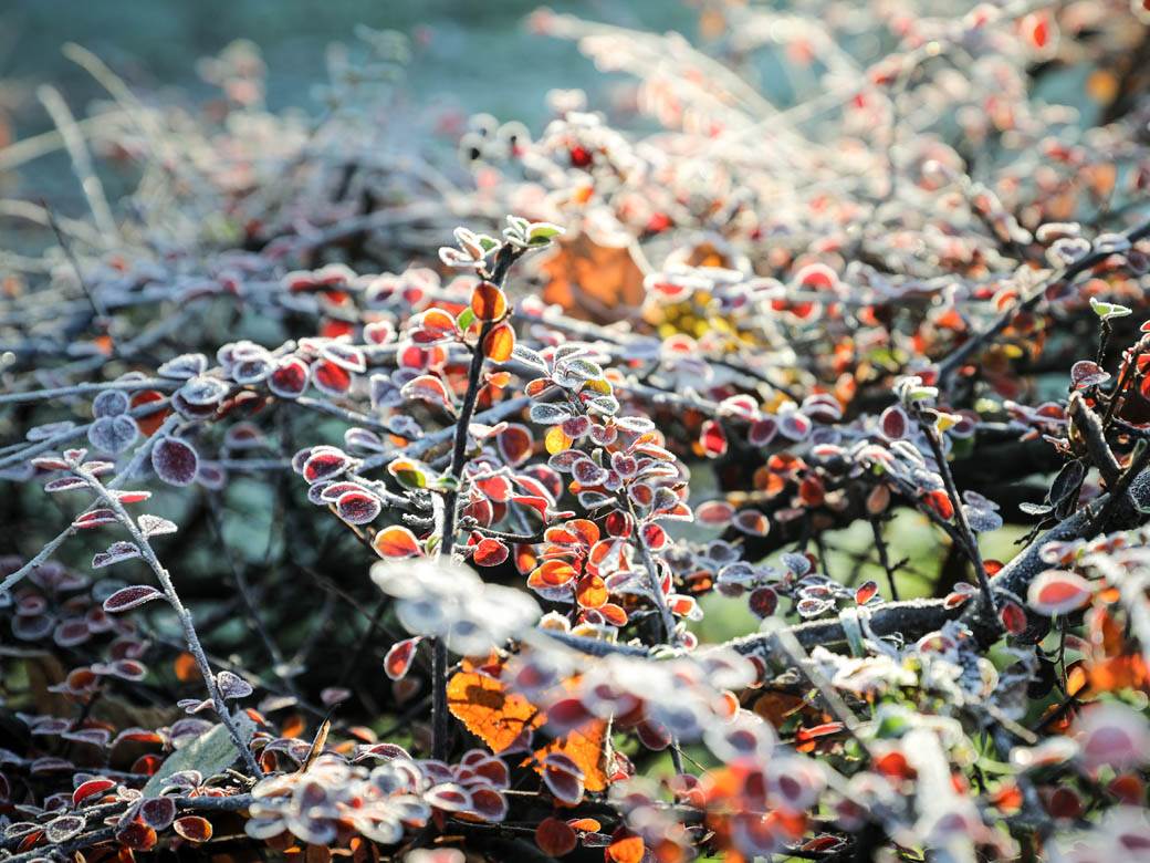 zima mraz beograd hladno vremenska prognoza fotografije