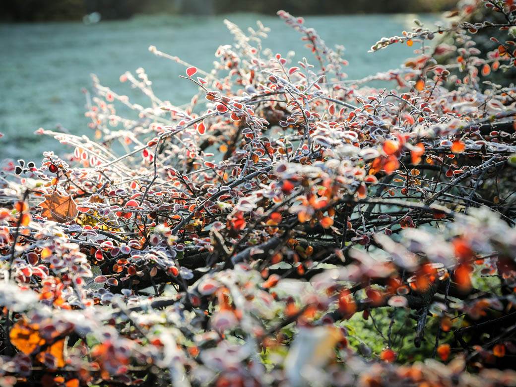 zima mraz beograd hladno vremenska prognoza fotografije