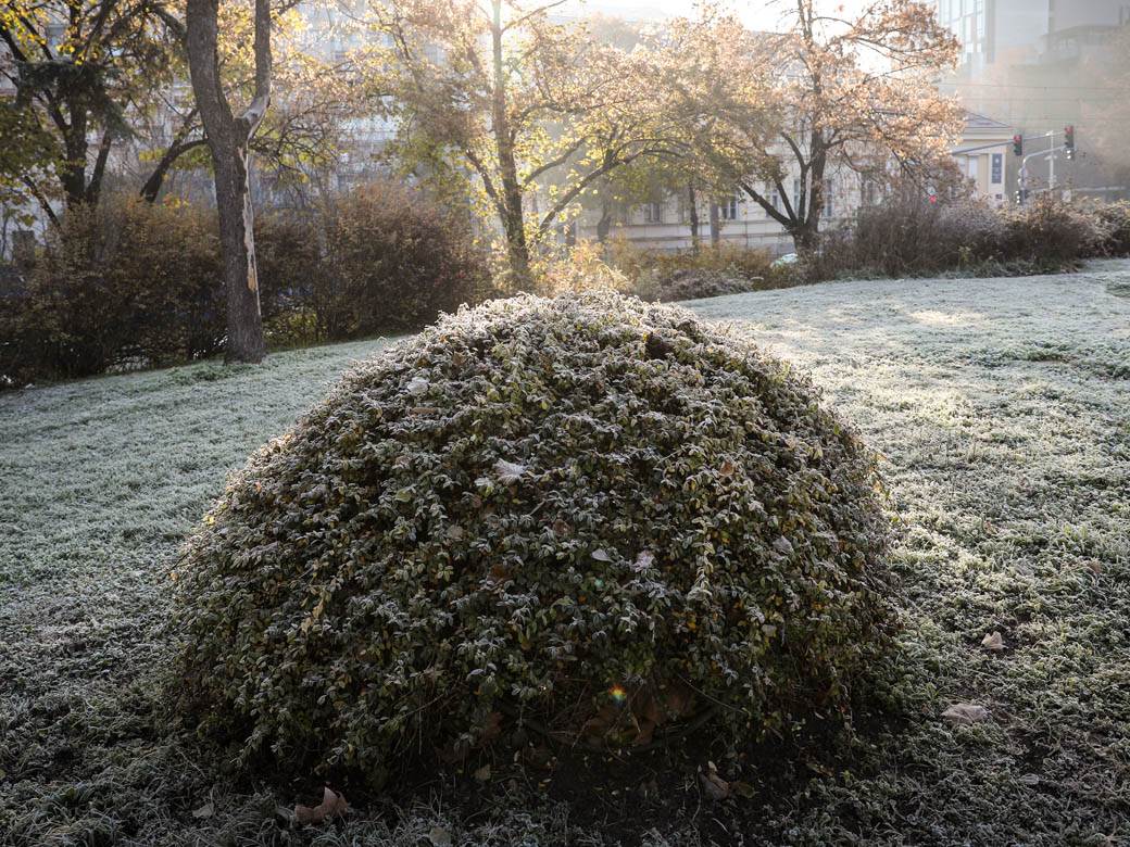 zima mraz beograd hladno vremenska prognoza fotografije