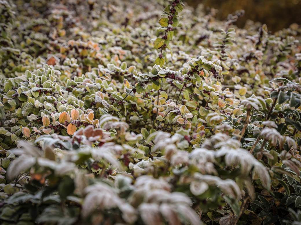 zima mraz beograd hladno vremenska prognoza fotografije