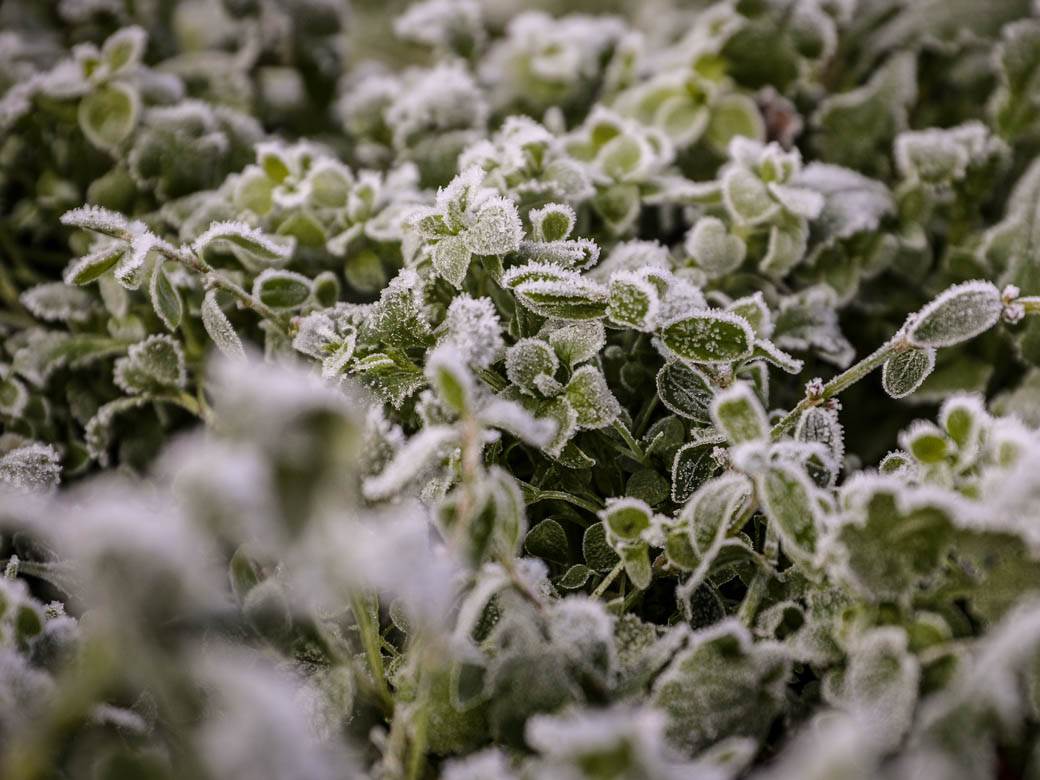 zima mraz beograd hladno vremenska prognoza fotografije