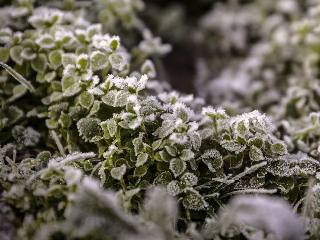 zima mraz beograd hladno vremenska prognoza fotografije