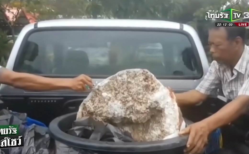 kitova povracka sastojak za parfeme ribar s tajlanda nasao ambergris 