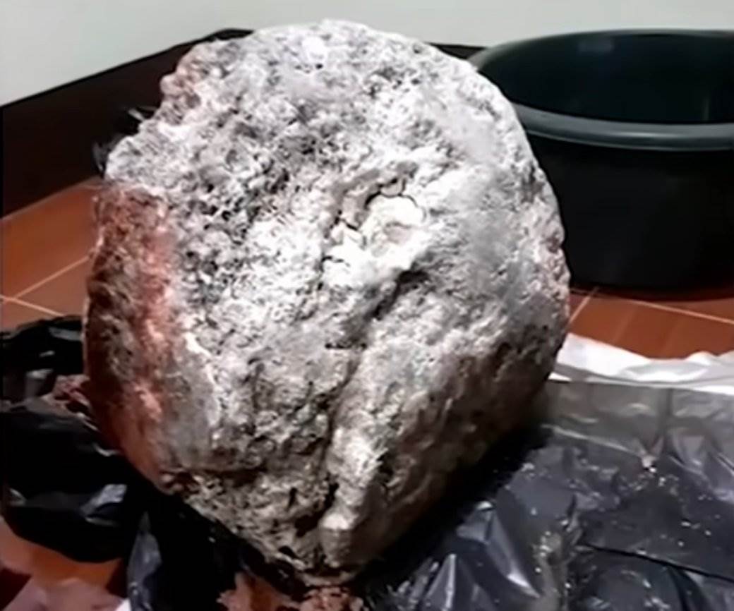 kitova povracka sastojak za parfeme ribar s tajlanda nasao ambergris 