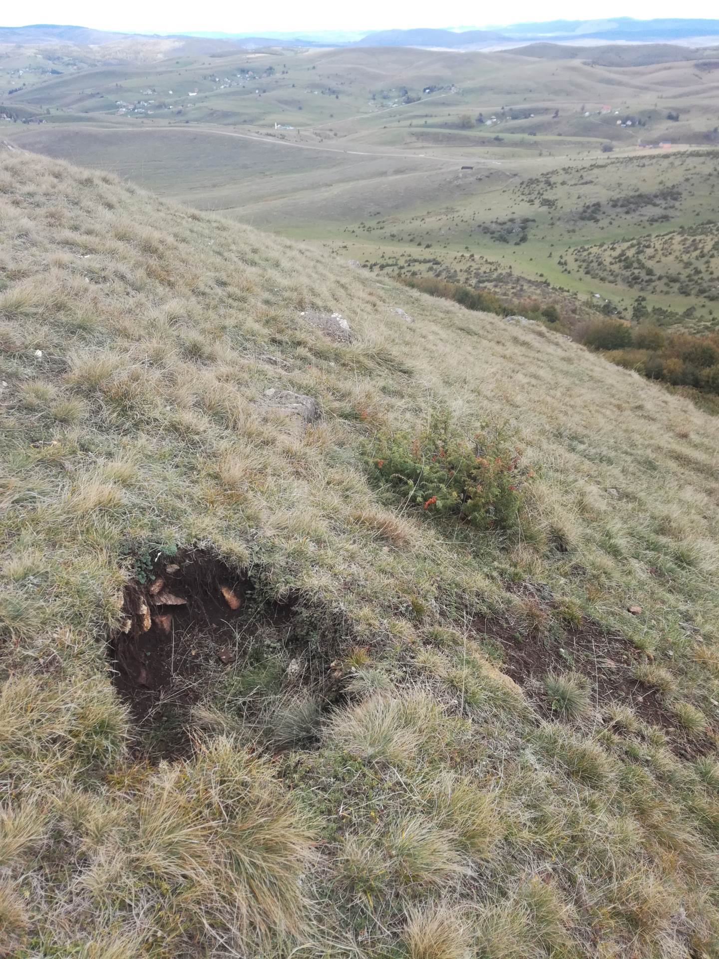 pestersko polje arheolosko nalaziste lopovi