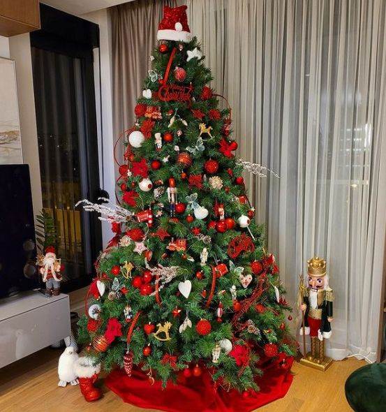 ana sevic darko lazic cerka soba kako izgleda