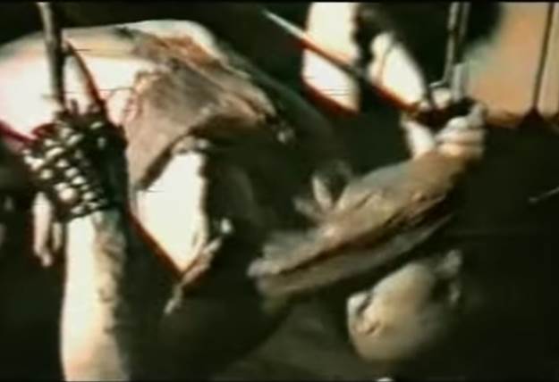 satan panonski biografija ivica culjak nastupi rezanje ziletom ubistvo foto video