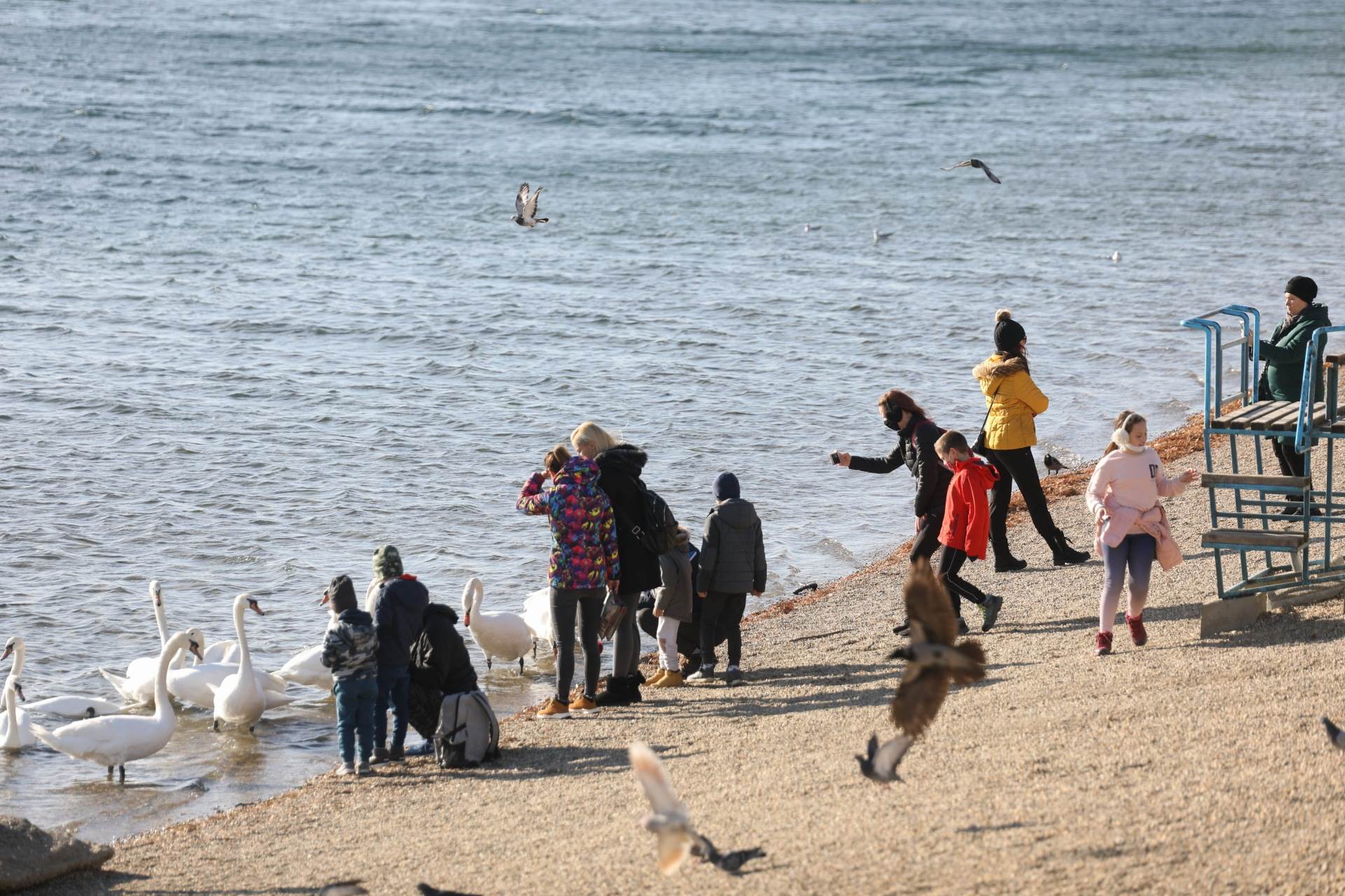 beograd mere korona virus vikend radno vreme ada ciganlija