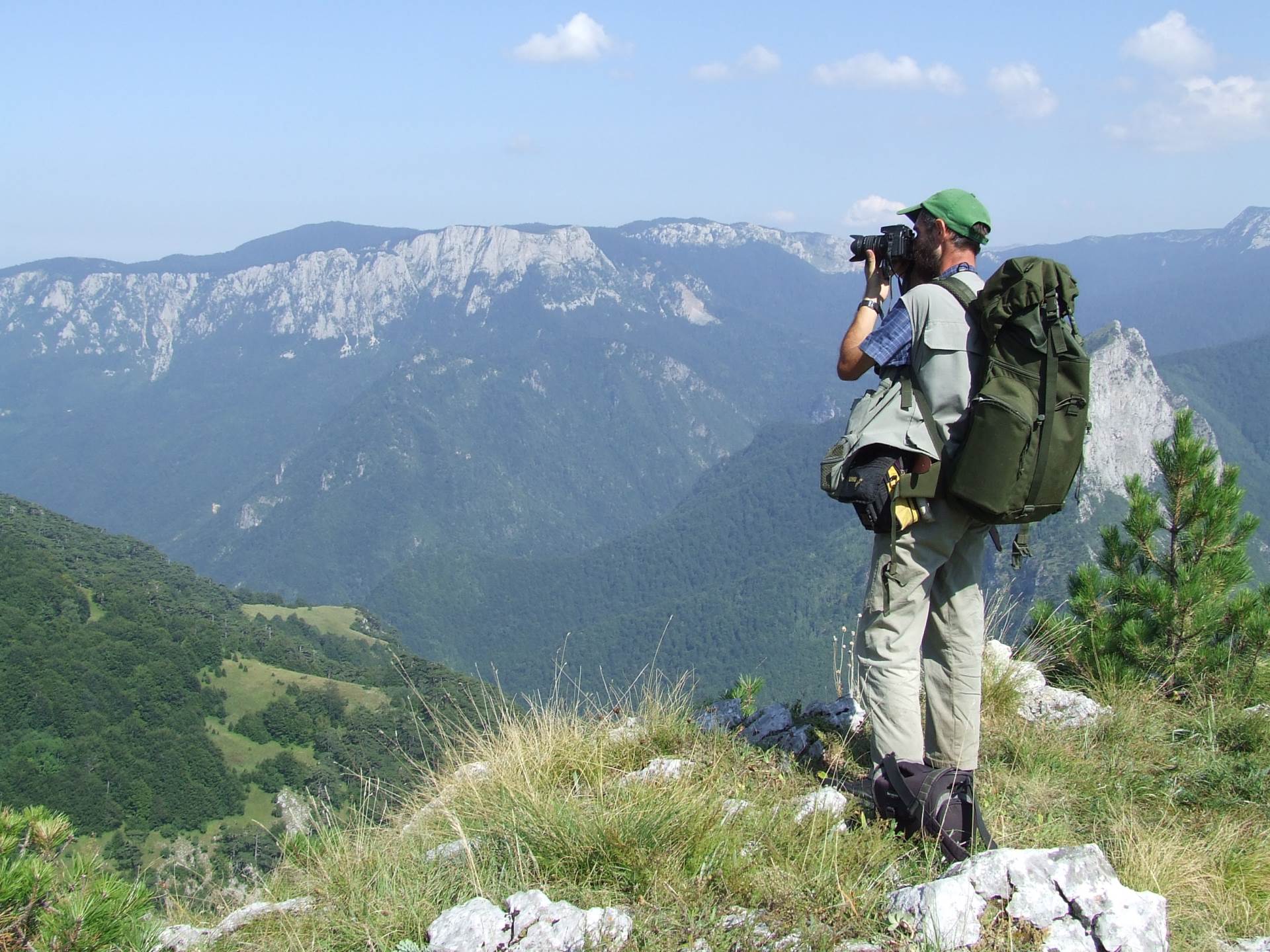 tartufi gljive zasavica sremska mitrovica