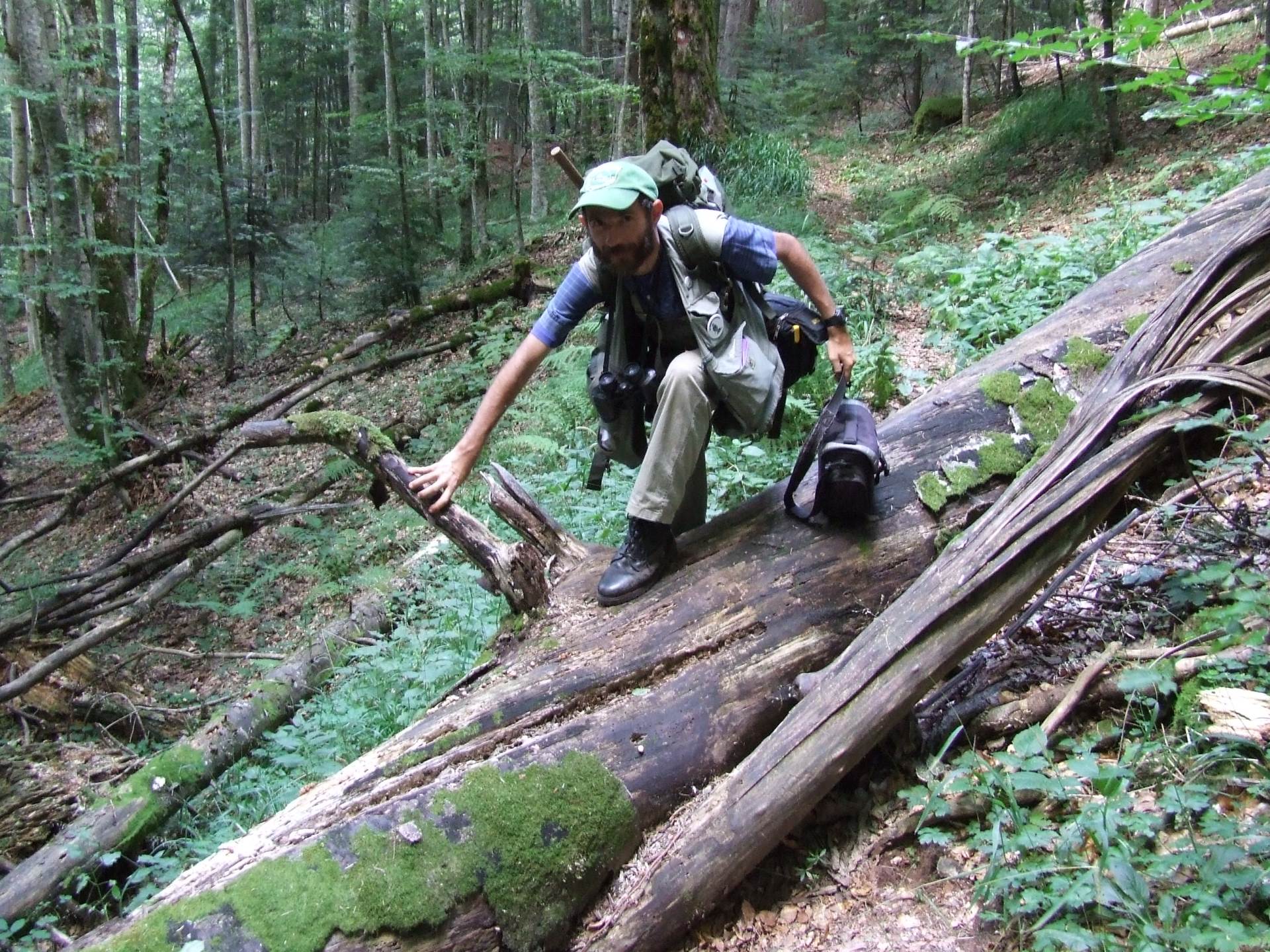 tartufi gljive zasavica sremska mitrovica