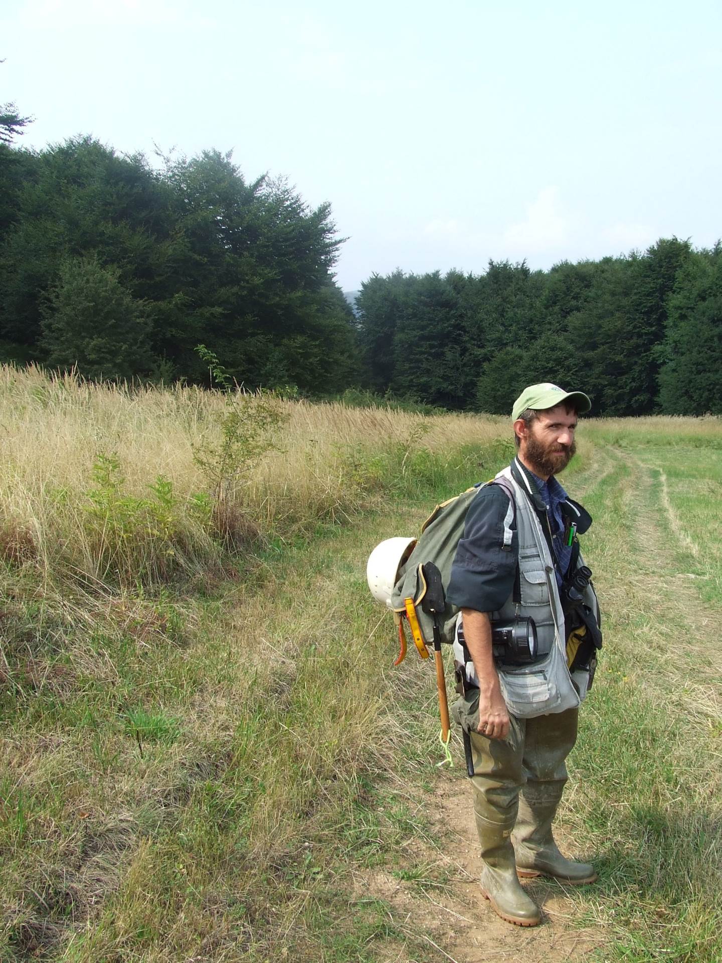 tartufi gljive zasavica sremska mitrovica