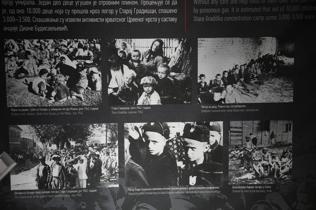 jasenovac istoricar simo brdar sacuvao skelete zrtve ustase ndh