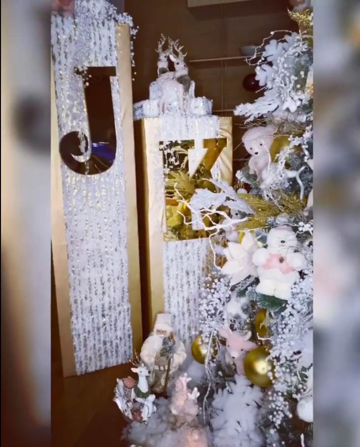 jelena karleusa novogodisnji kostim instagram foto