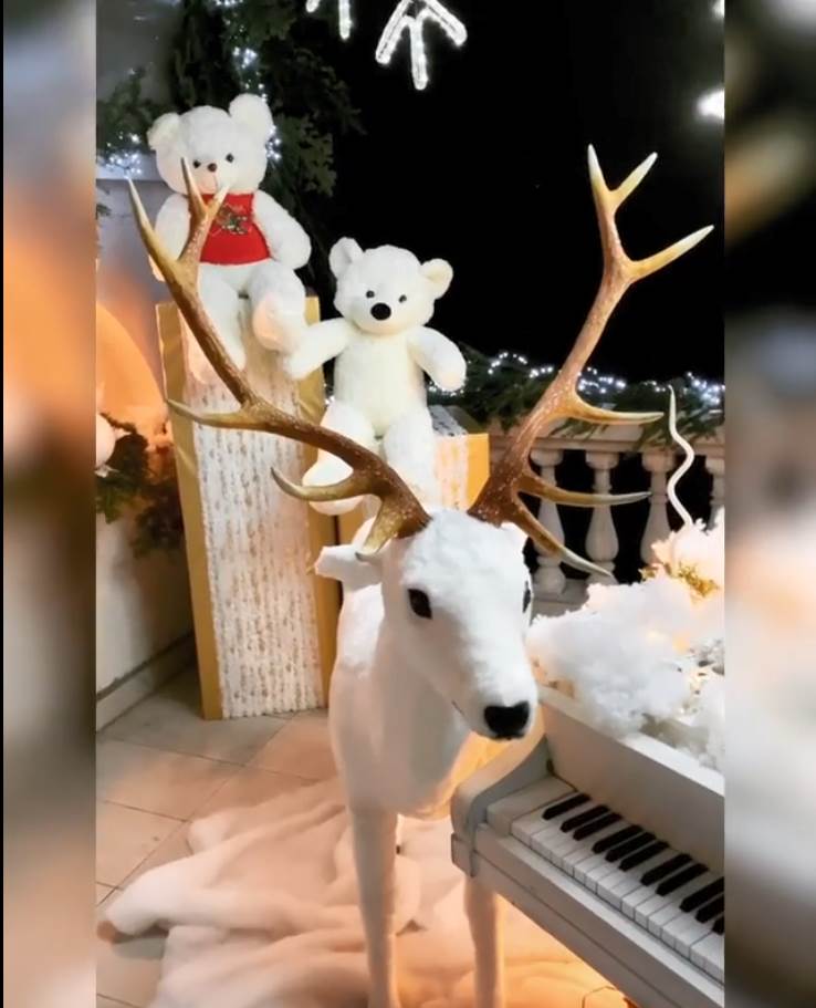 jelena karleusa novogodisnji kostim instagram foto