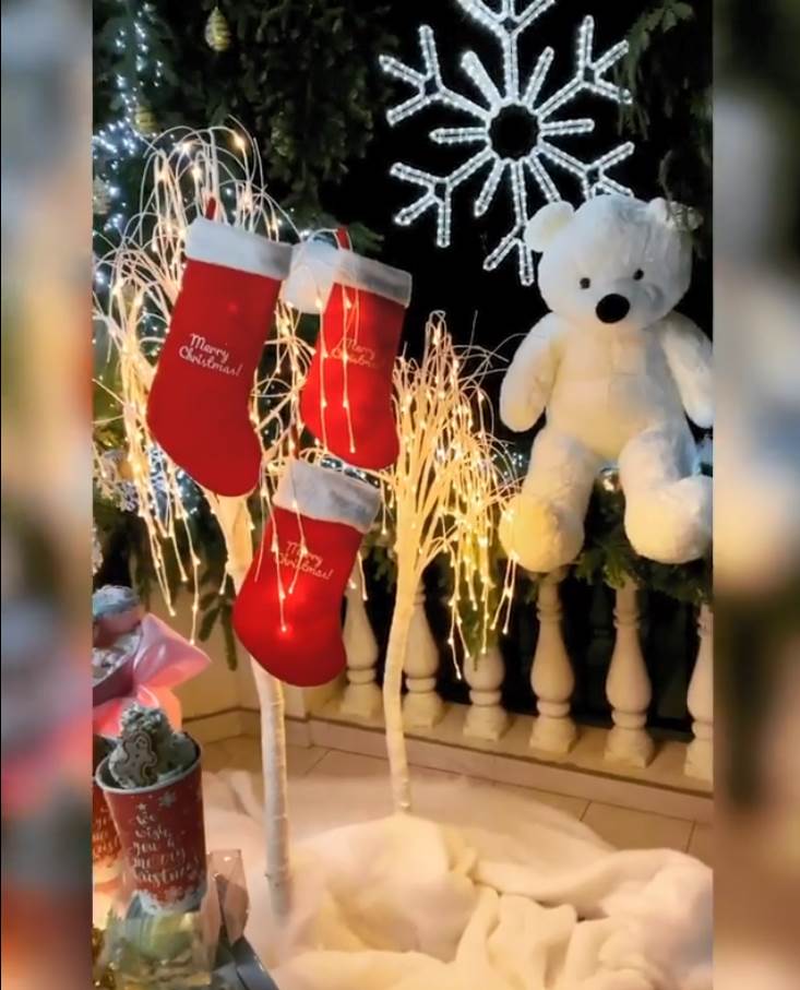 jelena karleusa novogodisnji kostim instagram foto