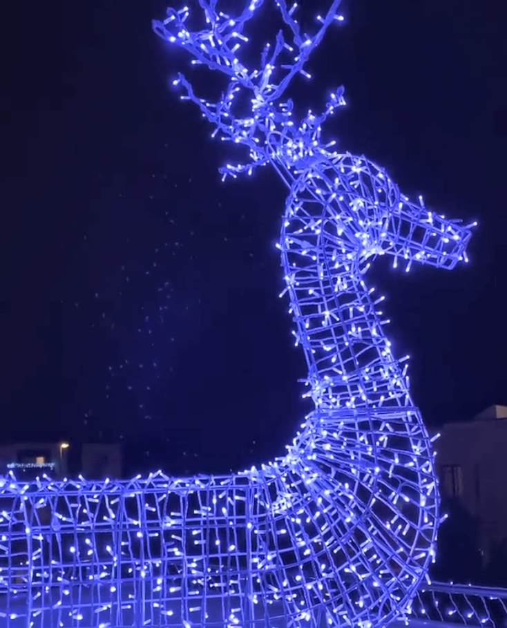 jelena karleusa novogodisnji kostim instagram foto