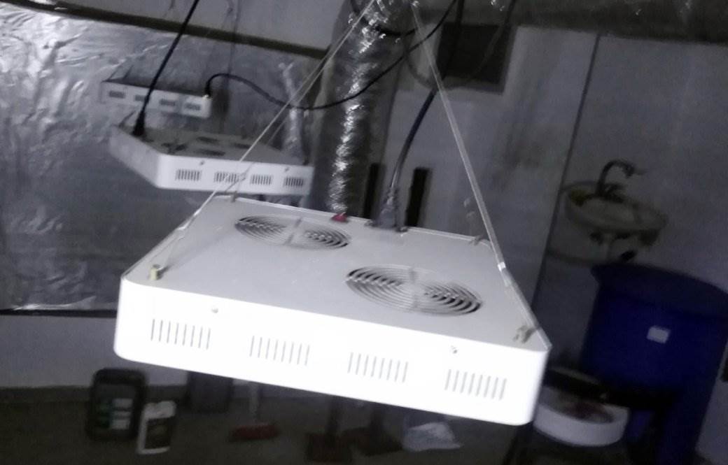 uhapsen diler u beogradu laboratorija droge