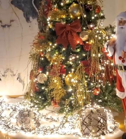 viki miljkovic siromastvo put do slave 