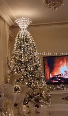 marta savic mile kitic luskuzna kuca jelka novogodisnja dekoracija