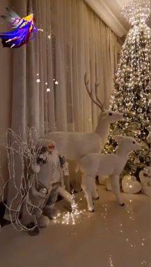 marta savic mile kitic luskuzna kuca jelka novogodisnja dekoracija