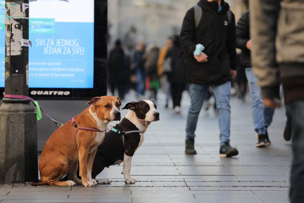 Raste potražnja za ovim poslovima