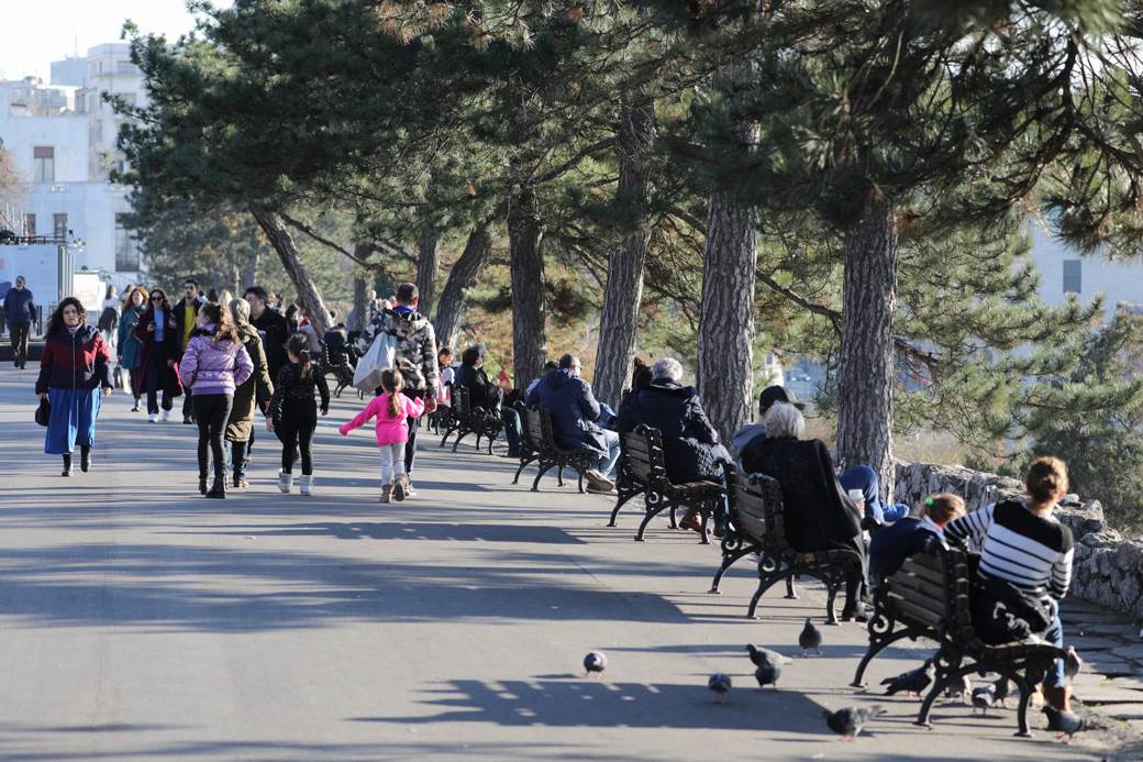 zasto se sece drvece u gradu i parku